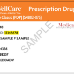 2022 Wellcare Medicare Prescription Drug Plan Individual Enrollment Form