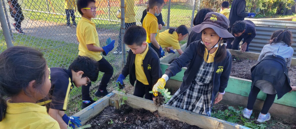 Burwood East Primary School Enrolment Form