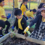 Burwood East Primary School Enrolment Form